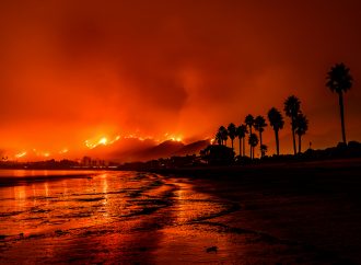 The ash left behind by the Los Angeles wildfires might be toxic, experts warn